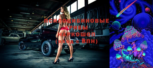 прущая мука Белокуриха