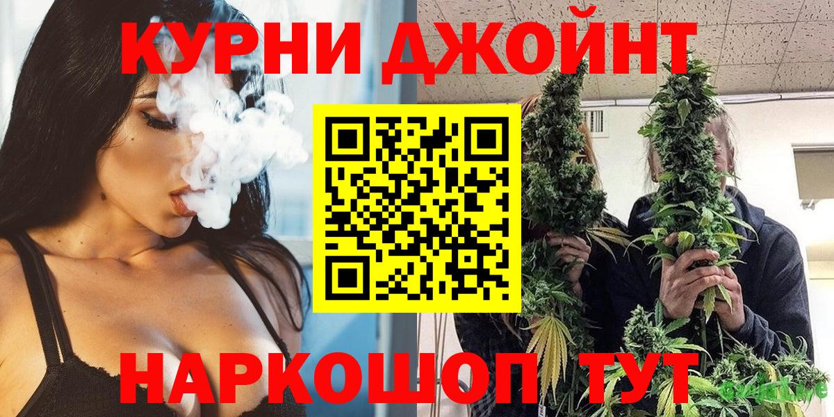 Каннабис конопля  Каннабис планчик  Вход с VPN  Конопля сатива  Гусев 